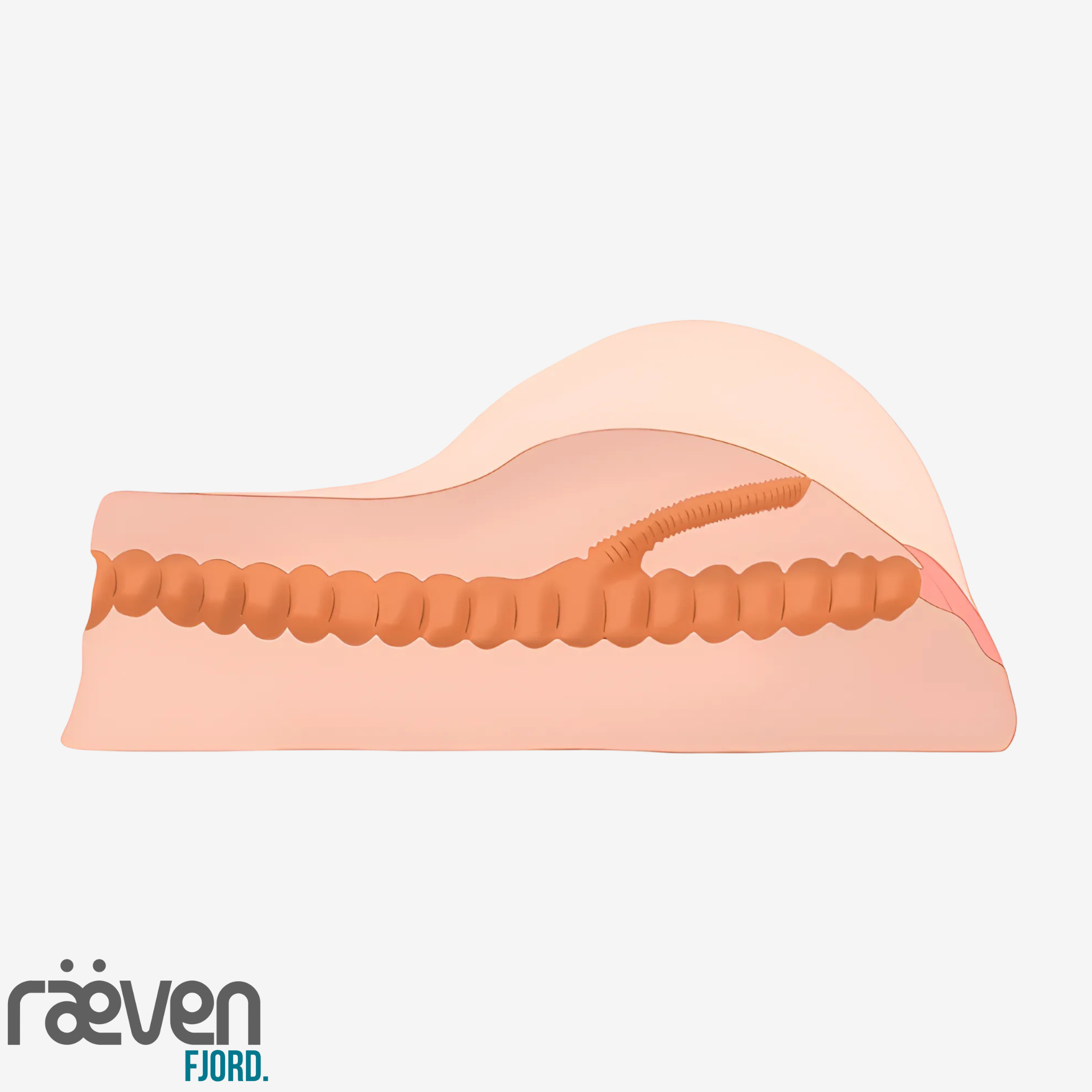 Aeva Vibrating Realistic Doggy Style Male Masturbator | Raeven FJORD — back view